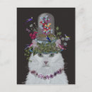 Search for cat and butterfly postcards Cute cats