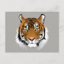 Search for tiger face postcards Safari