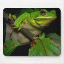 Search for frog lover electronics Lovers