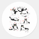 Search for cat gods stickers Bible