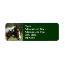 Search for paint horse return address labels Western