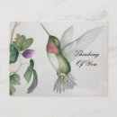 Search for peace rose postcards For her