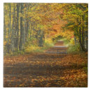 Search for peninsula tiles Usa