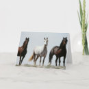 Search for stallions cards Ranch