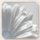 Search for gerbera barware Daisies