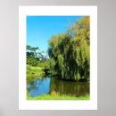 Search for weeping willow tree posters Lake