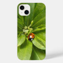 Search for ladybug iphone cases Beetle