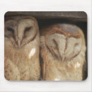 Search for tanzania mousepads Nature