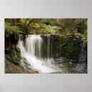 Search for national forest posters Australia
