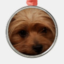 Search for yorkshire terrier christmas tree decorations Pets