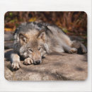 Search for winter photo mousepads Photography