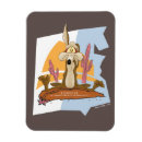 Search for wile e coyote magnets Humour
