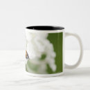 Search for ladybird mugs Insect