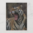 Search for yawning postcards Vertical