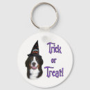 Search for bernese mountain dog key rings Canine