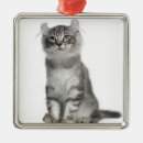 Search for grey kitten christmas tree decorations Animal