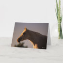 Search for backlit cards Breed