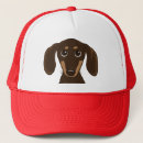 Search for chocolate hats Dog