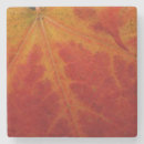 Search for maple leaf coasters Red