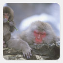 Search for nagano stickers Winter