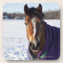 Search for snow covered fields Travel destinations