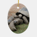 Search for tortoise christmas tree decorations Cute