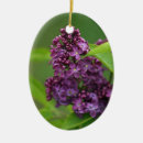 Search for lilac flower christmas tree decorations Photography