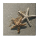 Search for starfish tiles Tropical
