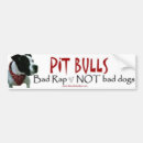 Search for pit bumper stickers Bsl