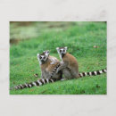 Search for antananarivo madagascar postcards Africa