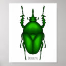Search for bug posters Insect