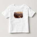 Search for currier tshirts Colour