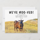 Search for humorous moving announcement cards Cow