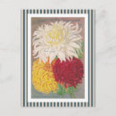 Search for magnificent postcards White
