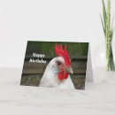 Search for rooster birthday cards Feathers