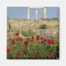 Search for column magnets Landscape