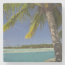 Search for fiji coasters David