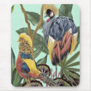 Search for eden mousepads Birds
