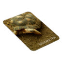 Search for tortoise stuff magnets Animal