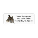 Search for drawing return address labels Owl