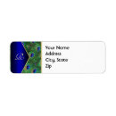 Search for peacock blue return address labels Chic