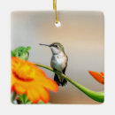 Search for hummingbird christmas tree decorations Animal