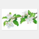 Search for apple tree stickers Bloom