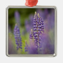 Search for summer christmas tree decorations Abundance