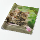 Search for portrait wrapping paper Cute