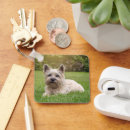 Search for cairn key rings Pet
