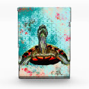 Search for turtle photo display Tortoise