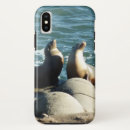 Search for sea lion iphone cases Nature