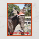 Search for appaloosa christmas cards Horse