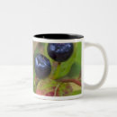 Search for huckleberry mugs Whitefish